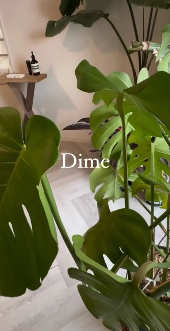 Dimeの内観・外観1