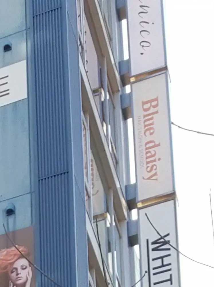 ブルーデイジー栄本店の内観・外観2