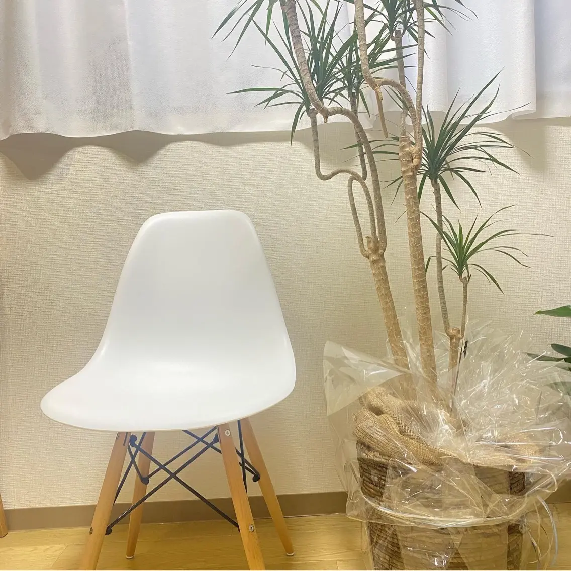 eyelash  salon kikiの内観・外観1