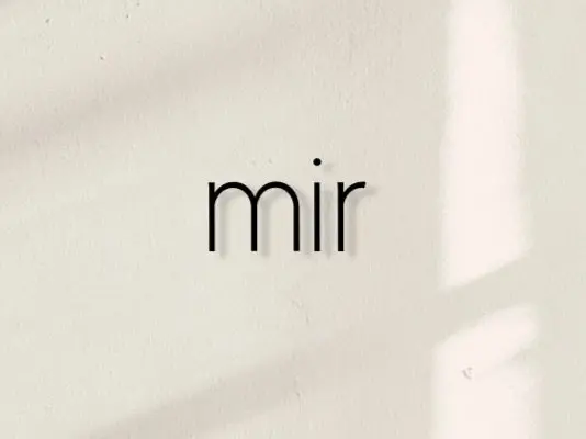 mirの内観・外観1