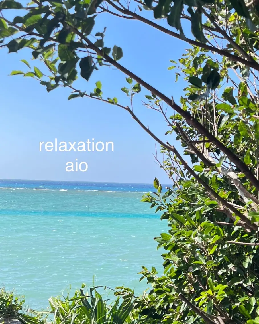 relaxation  aioの内観・外観2