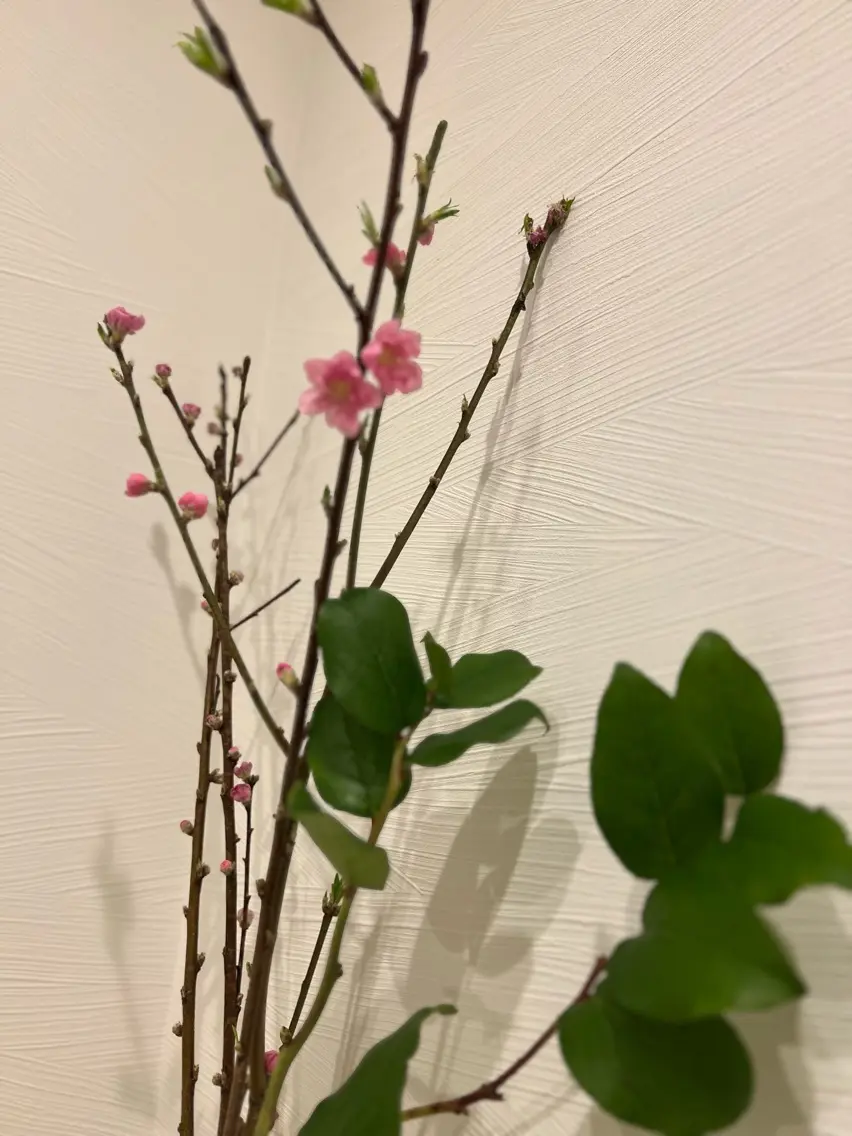 mignonneの内観・外観2
