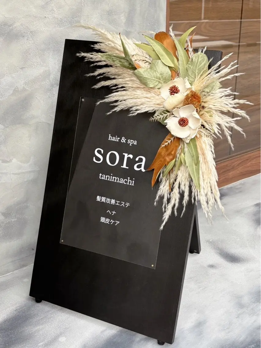 sora tanimachiの内観・外観3