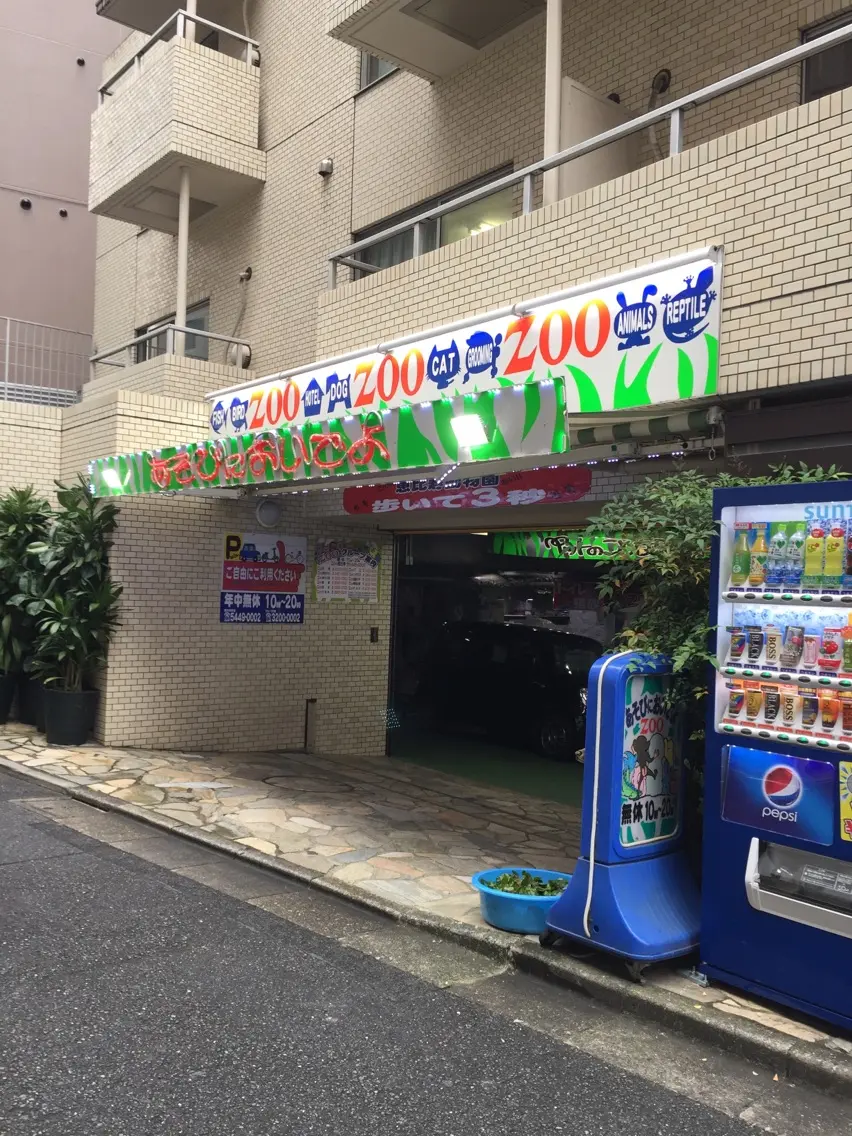 aoinailの内観・外観1
