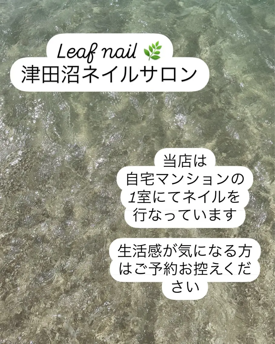 Leafの内観・外観1