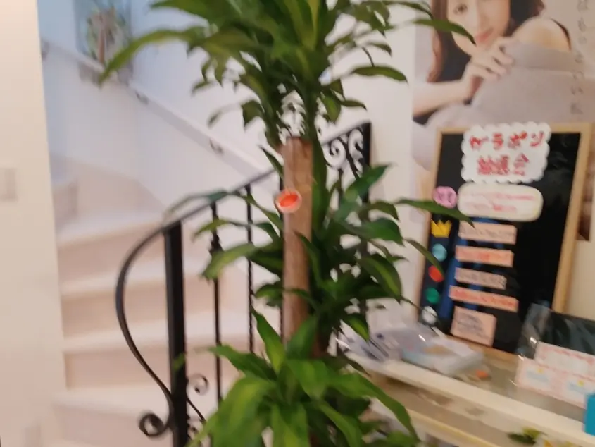 メナードフェイシャルサロン   シャルアドゥール高崎店の内観・外観1