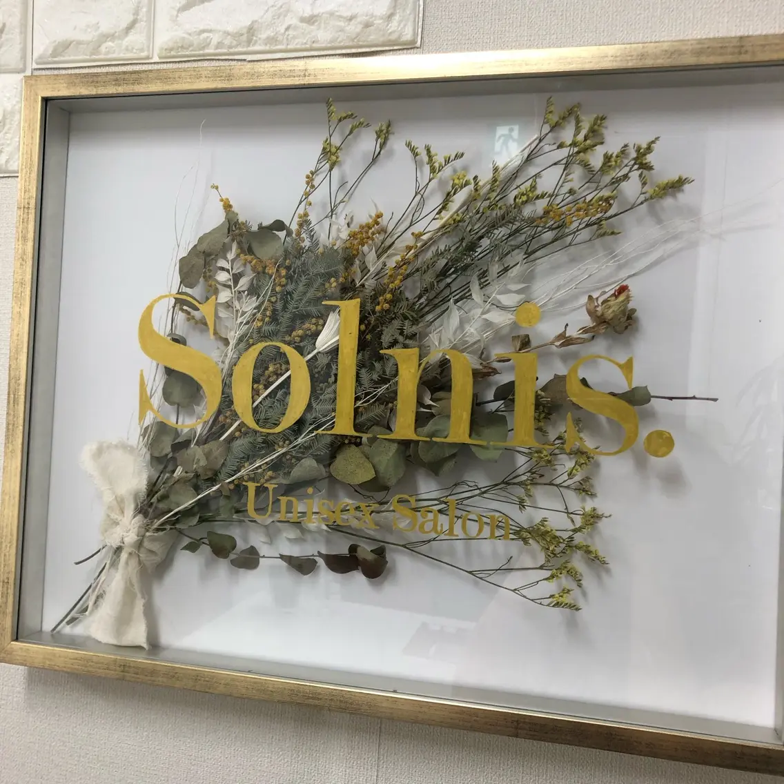 Solnis.の内観・外観2