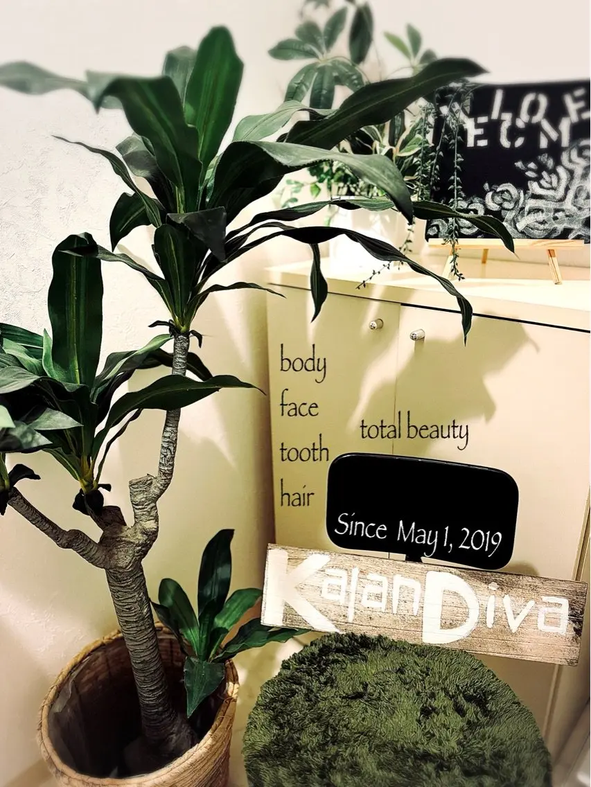 KalanDivaの内観・外観1