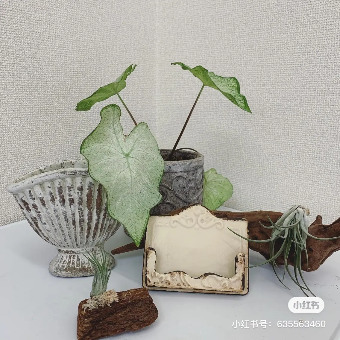 musee artの内観・外観3