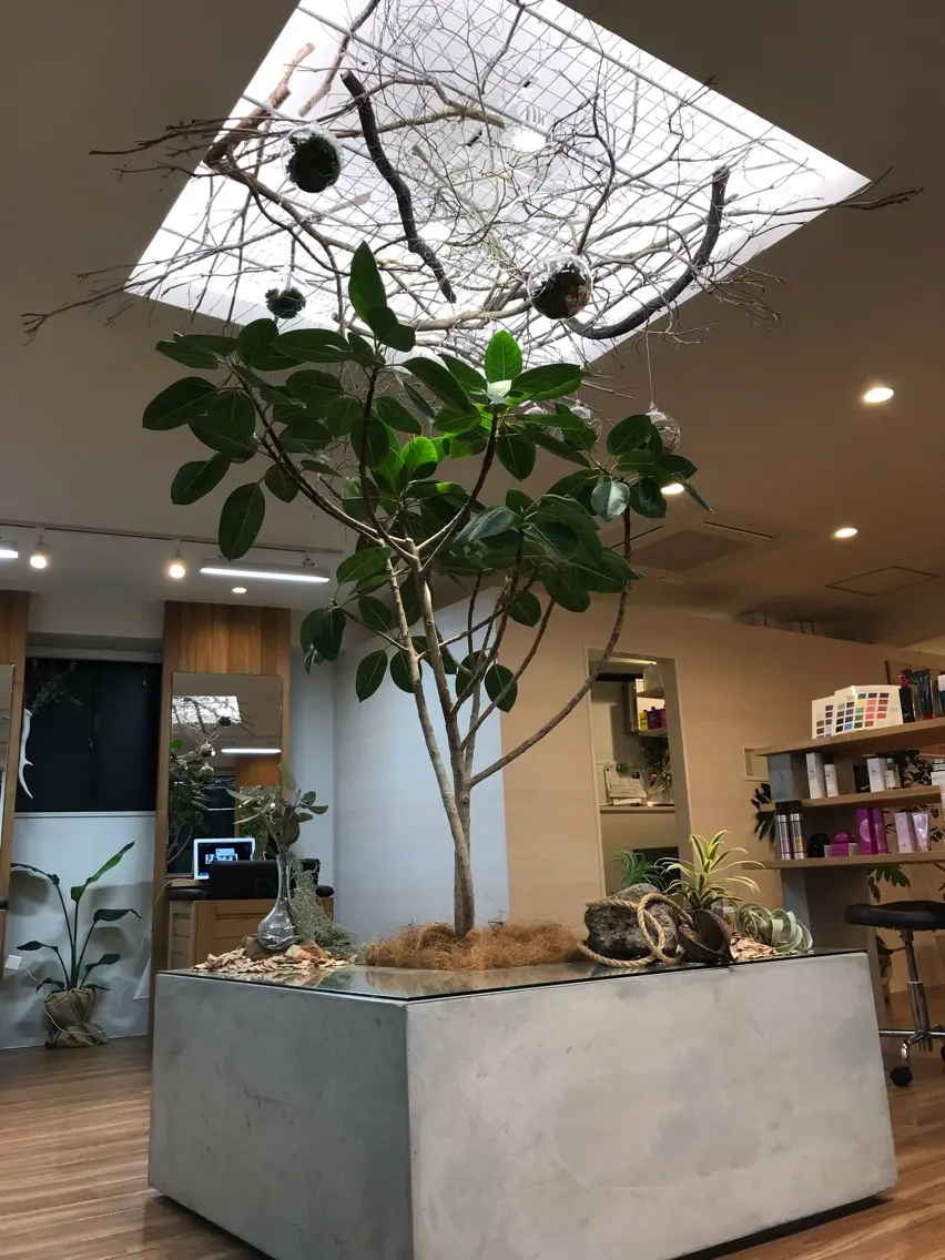 Elsaの内観・外観2