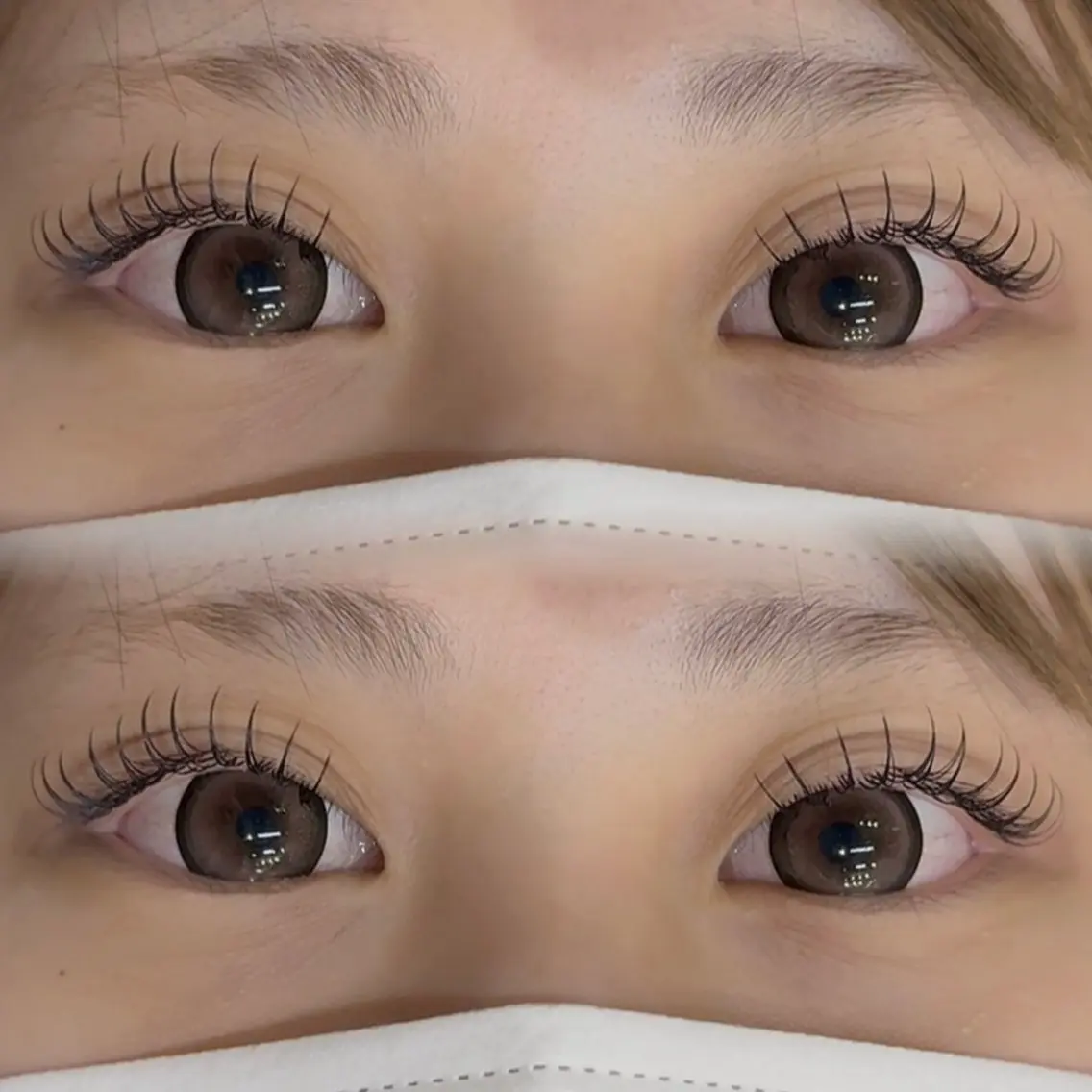 【🎀ᩚミニモ限定価格🎀ᩚ】フラットラッシュ140本の写真