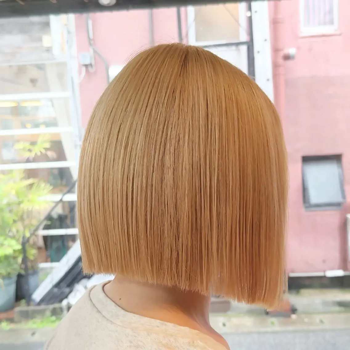 ショート カラー カット ヘアカラー トリートメント 高橋 充輝のヘアスタイル