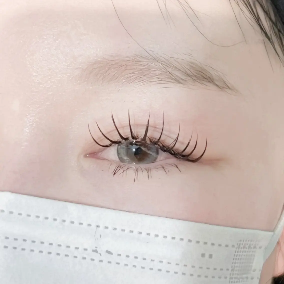 フラットラッシュ 120本の写真