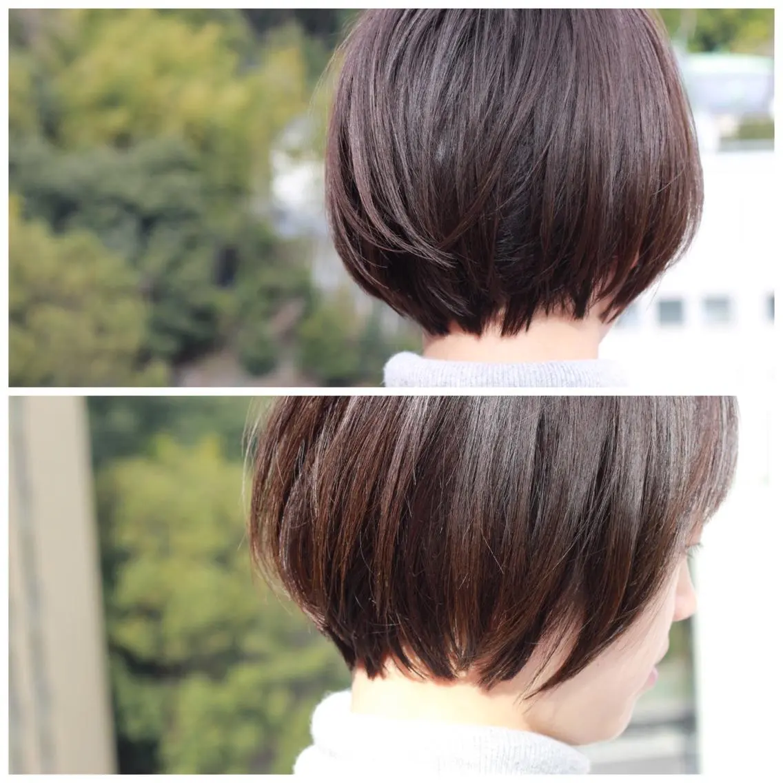 ショート カラー アッシュ カット ヘアカラー トリートメント Viage （ビアージュ）のヘアスタイル