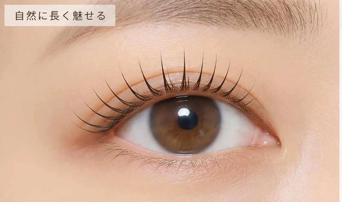 【中村日赤店】Lash Lift(まつげパーマ) 初回の写真
