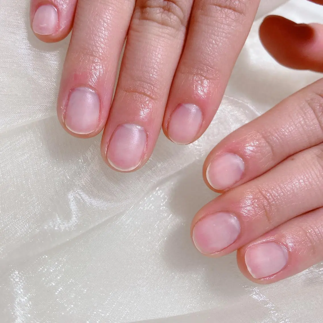ネイル マットネイル ハンドネイル nailsalon REJOICEのネイルデザイン
