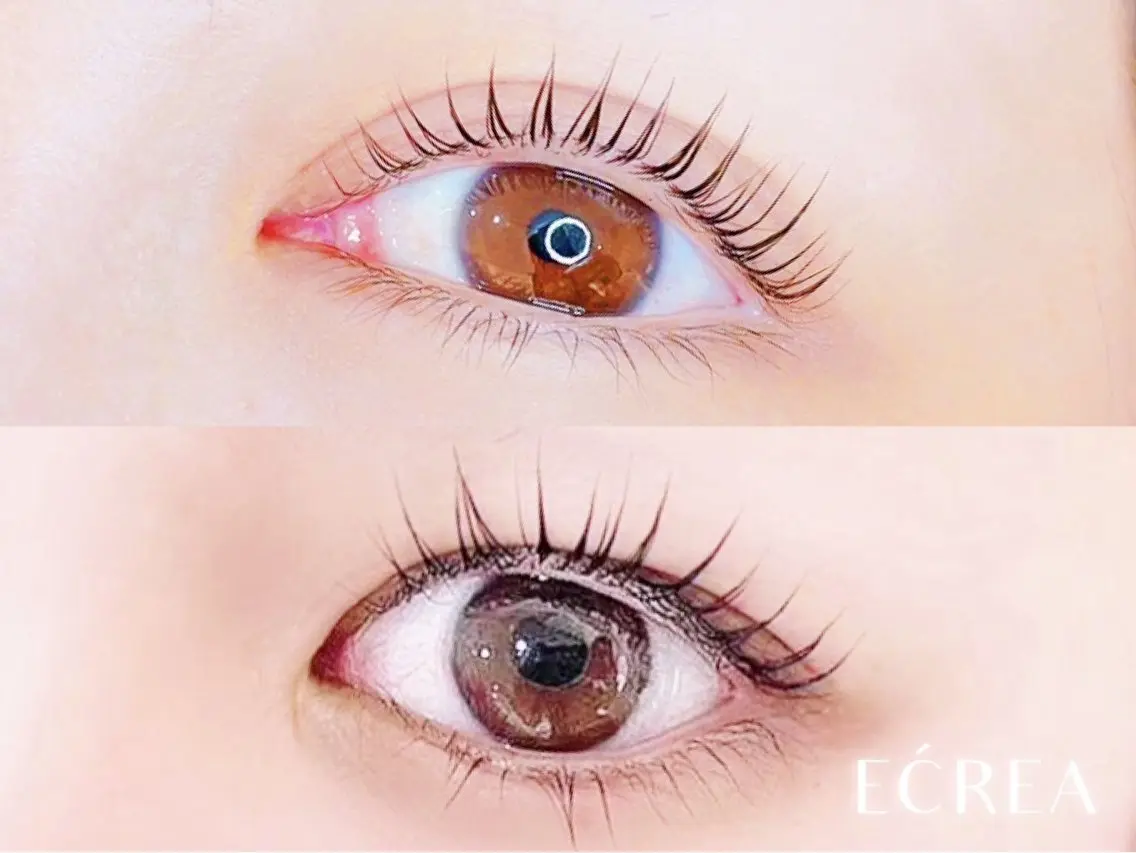 パリジェンヌラッシュリフト👀🎀✨(メニュー変更不可)の写真