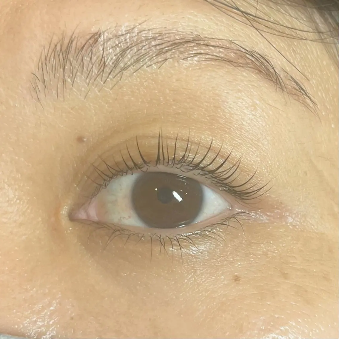 マツエク・マツパ ナチュラル eyelash / mizukiの眉毛・アイブロウイメージ