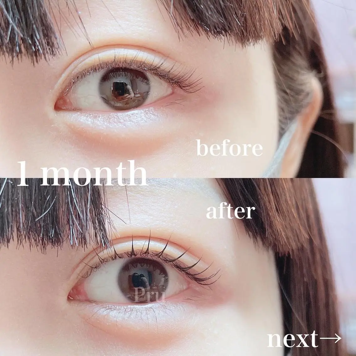 マツエク・マツパ まつげパーマ マツパ プル eyelashのマツエク・マツパデザイン