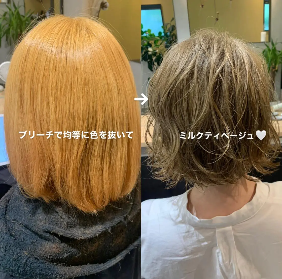 ショート カラー ベージュカラー ブリーチ hubhair レイヤー/透明感のヘアスタイル