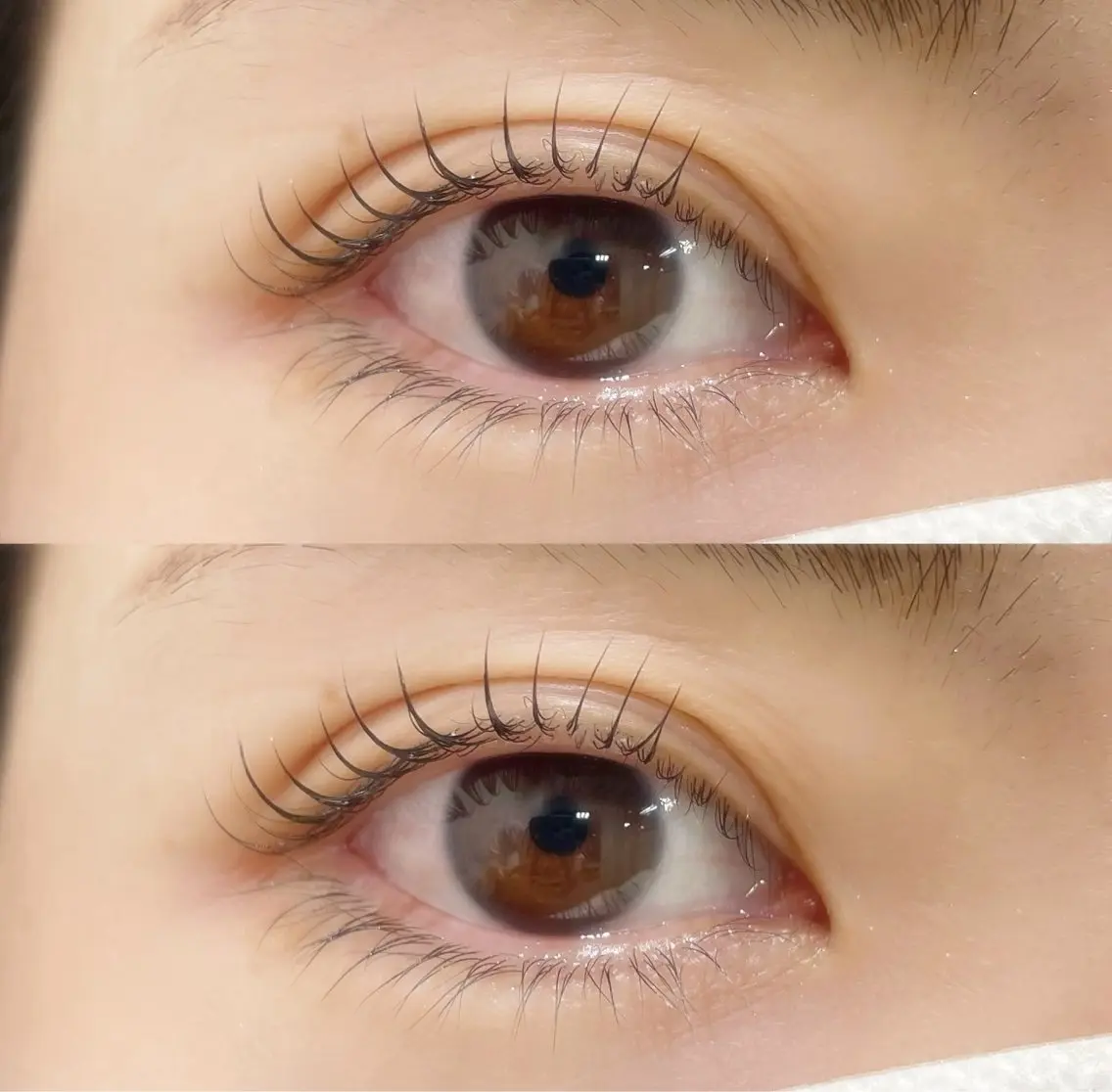 💎まつげパーマ＋眉毛WAXメニュー💎の写真