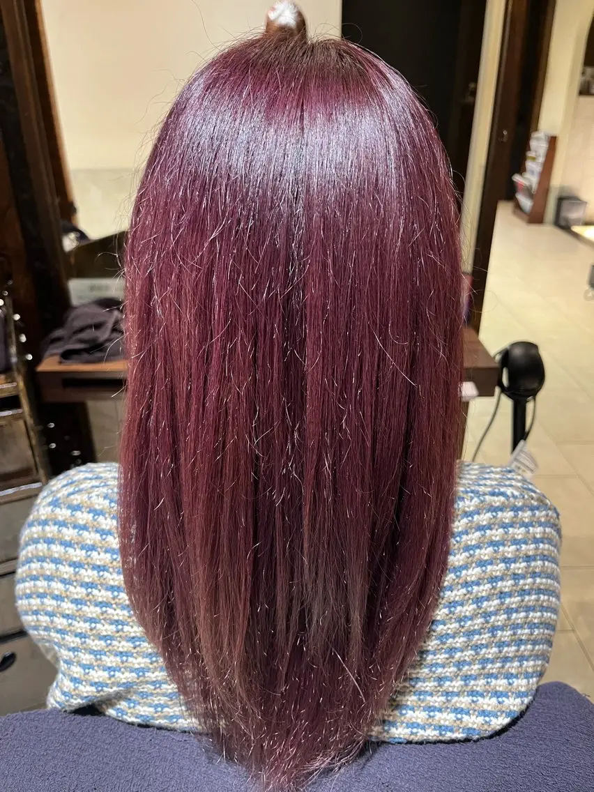 ロング カラー Aina🩶 レディースカット🩶のヘアスタイル