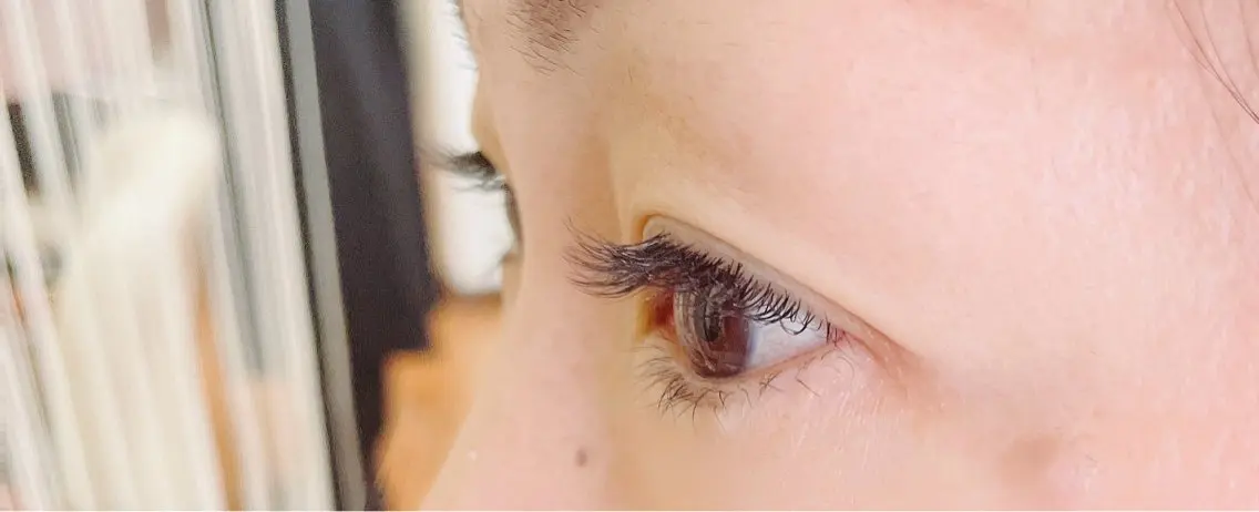 FLATLASH１２０本の写真