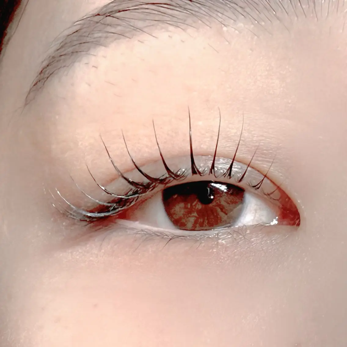 メーテルラッシュの写真