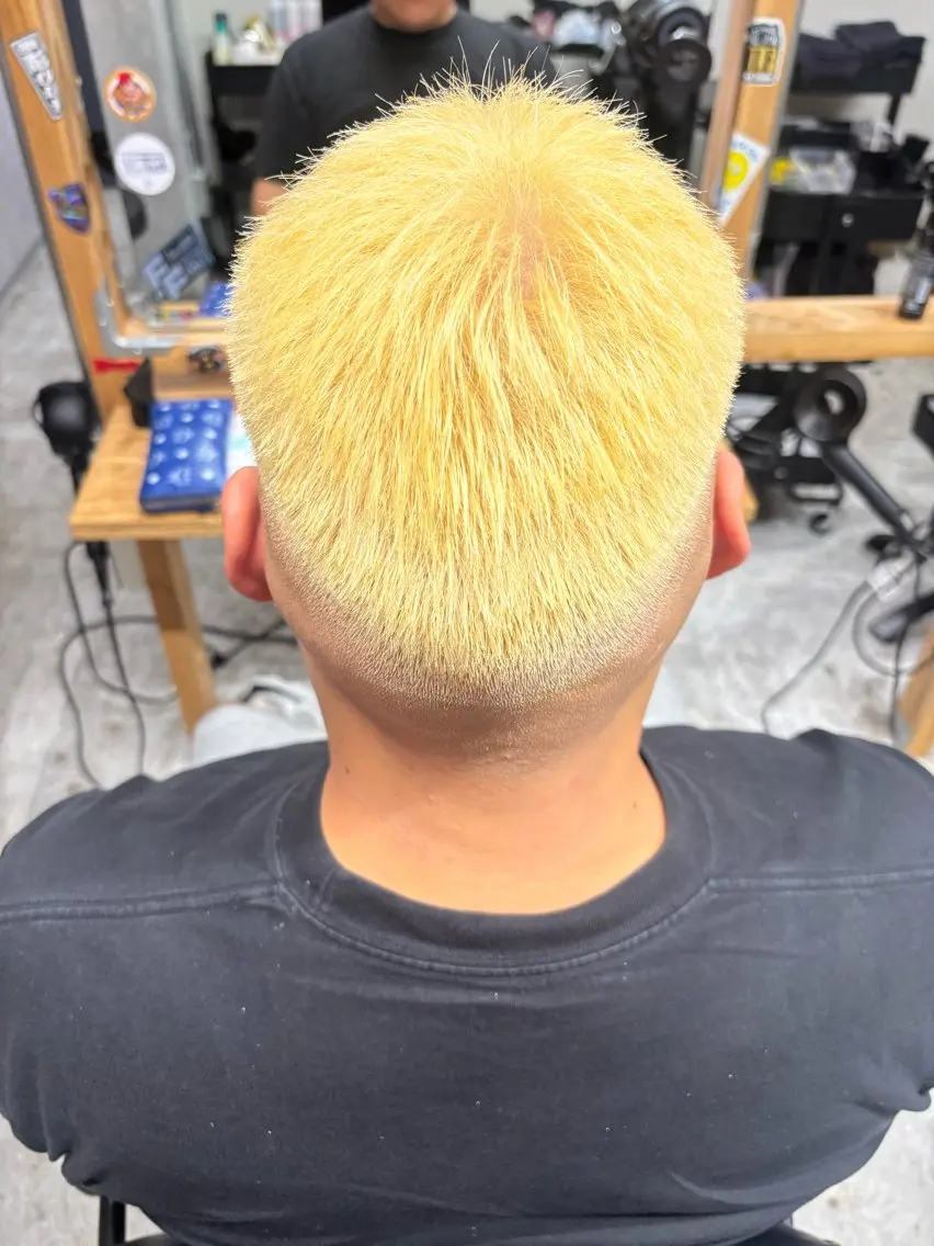 ショート カラー 中村 岳のヘアスタイル