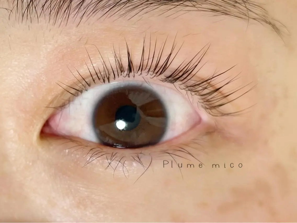 マツエク・マツパ マツパ Plume micoのマツエク・マツパデザイン