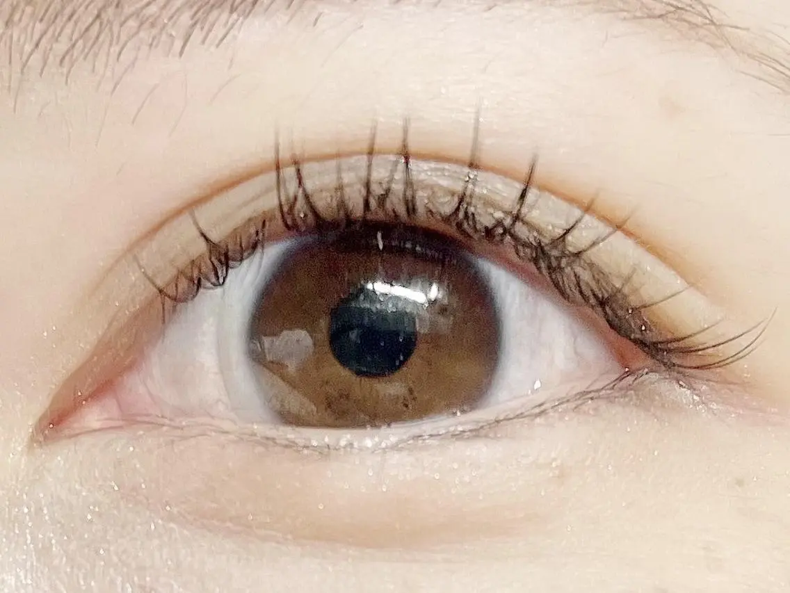フラットラッシュ120本  オフ込みの写真