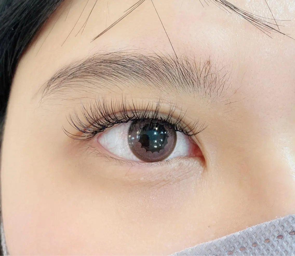 「オフ無料」人気3D/4D/5D ボリュームラッシュ 300本の写真