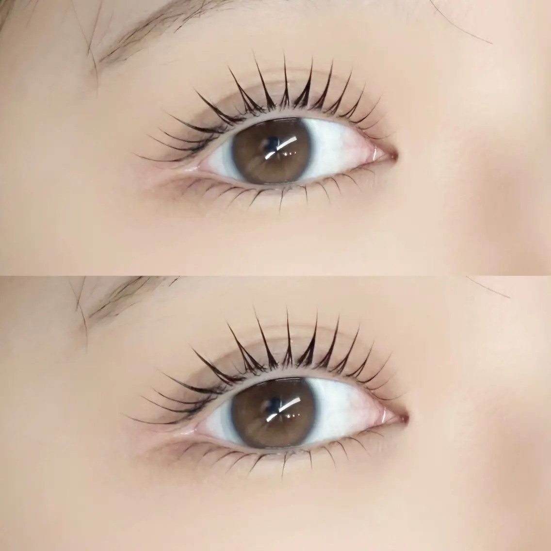 【一気に垢抜け🌟】次世代まつげパーマ👀上下ラッシュリフト🩷ご新規様7200円/再来様8430円の写真