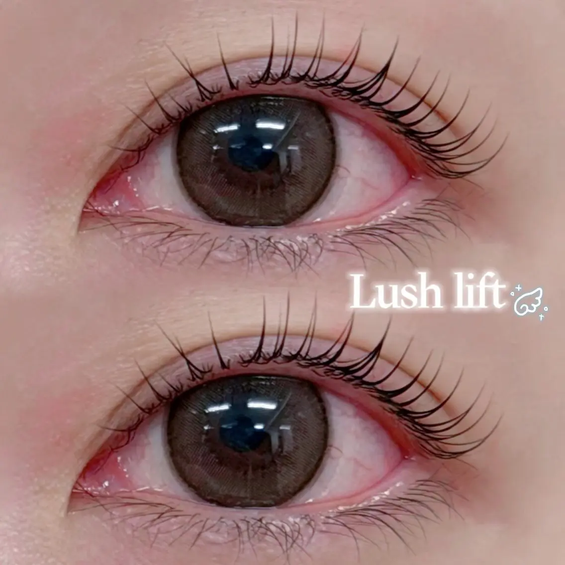 💖次世代ラッシュリフト💖の写真