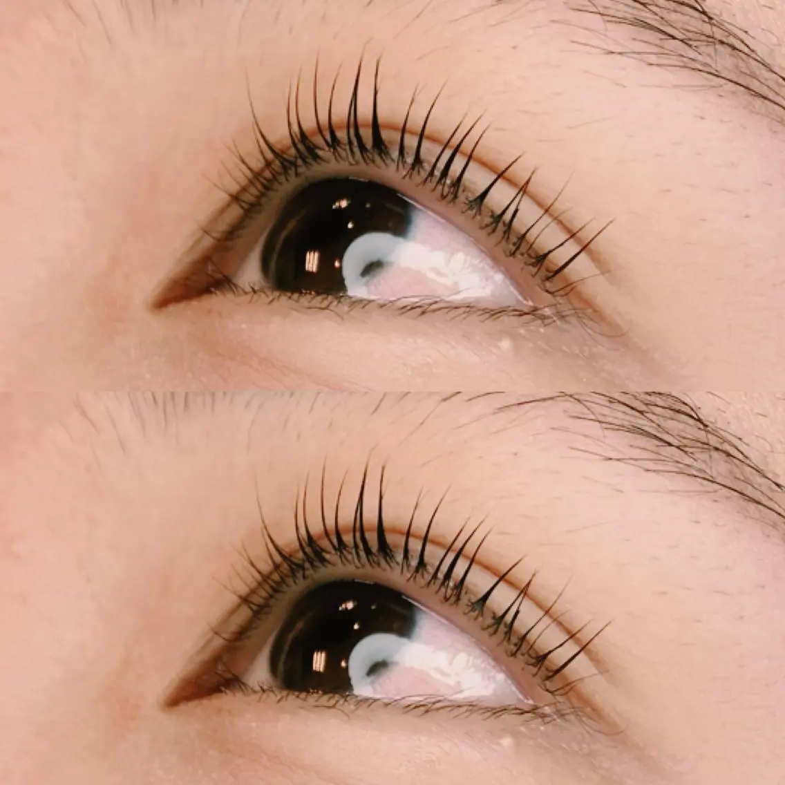 マツエク・マツパ パリジェンヌラッシュリフト brow&lash WAVEのマツエク・マツパデザイン
