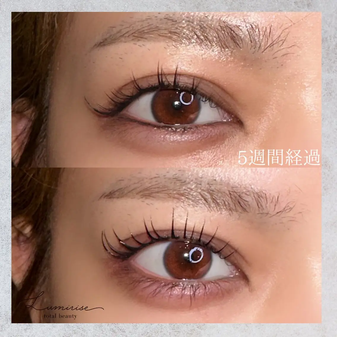 マツエク・マツパ マツパ Eyelash Lumiriseのマツエク・マツパデザイン