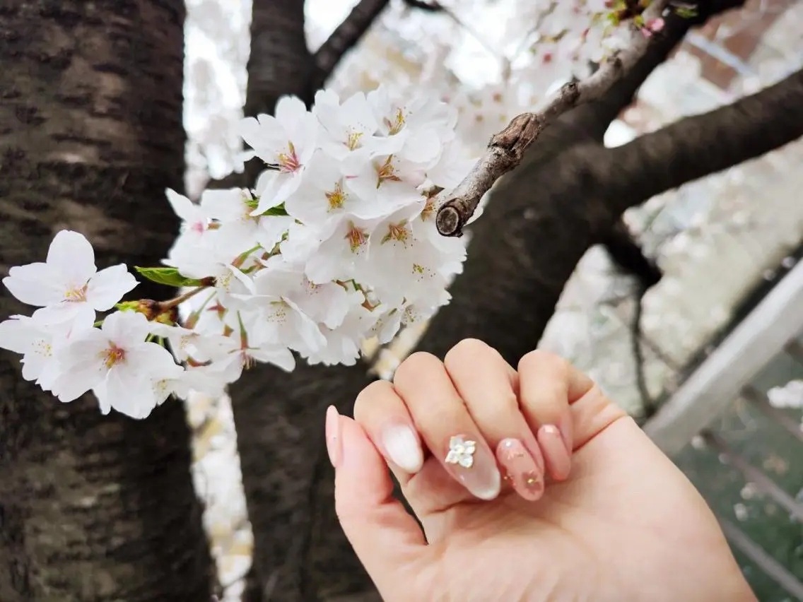 ネイル 桜ネイル Feliz Saitoのマツエク・マツパデザイン