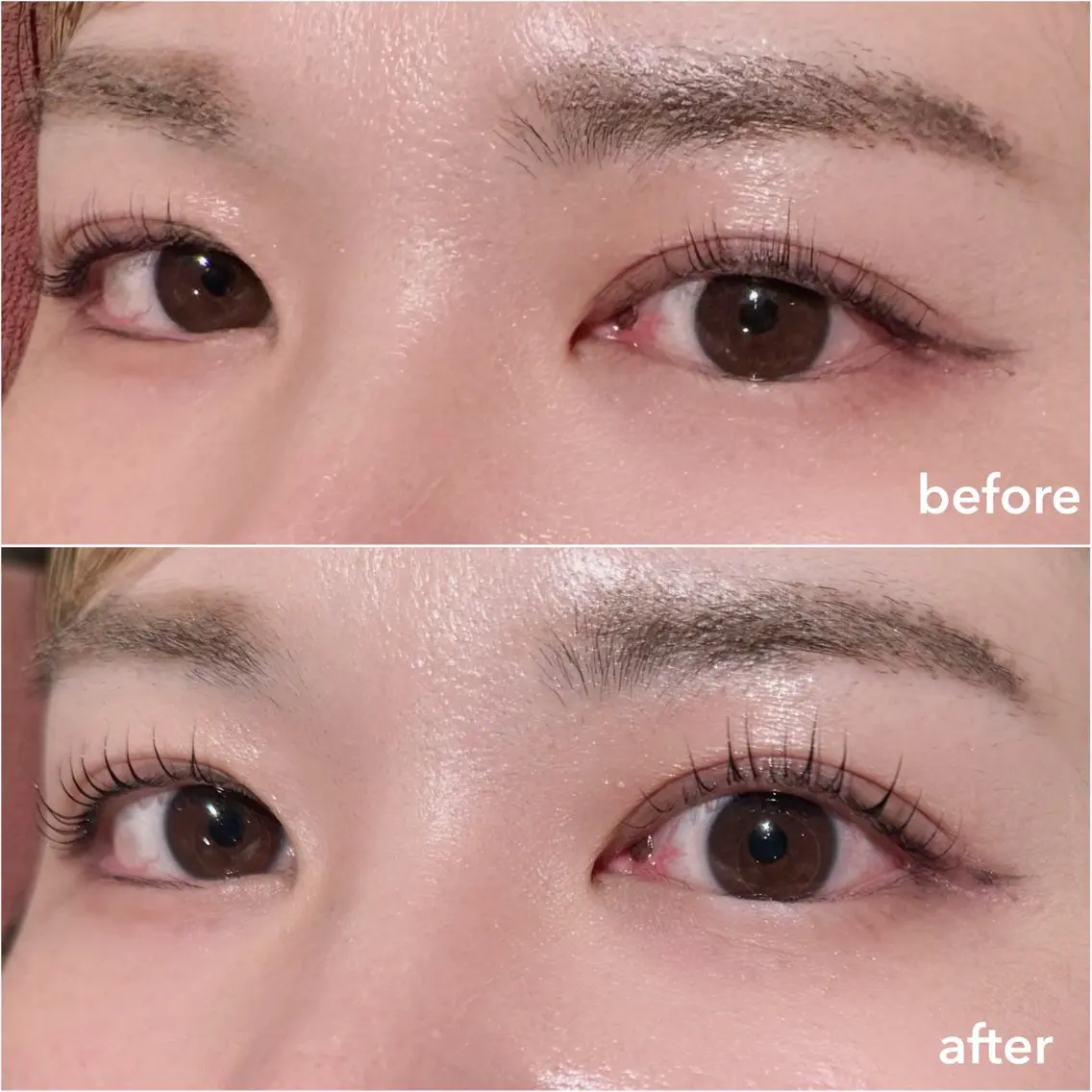 韓国発🖤まつ毛ブラックティント♡⚠️まつ毛パーマメニューに＋でご利用ください◎の写真