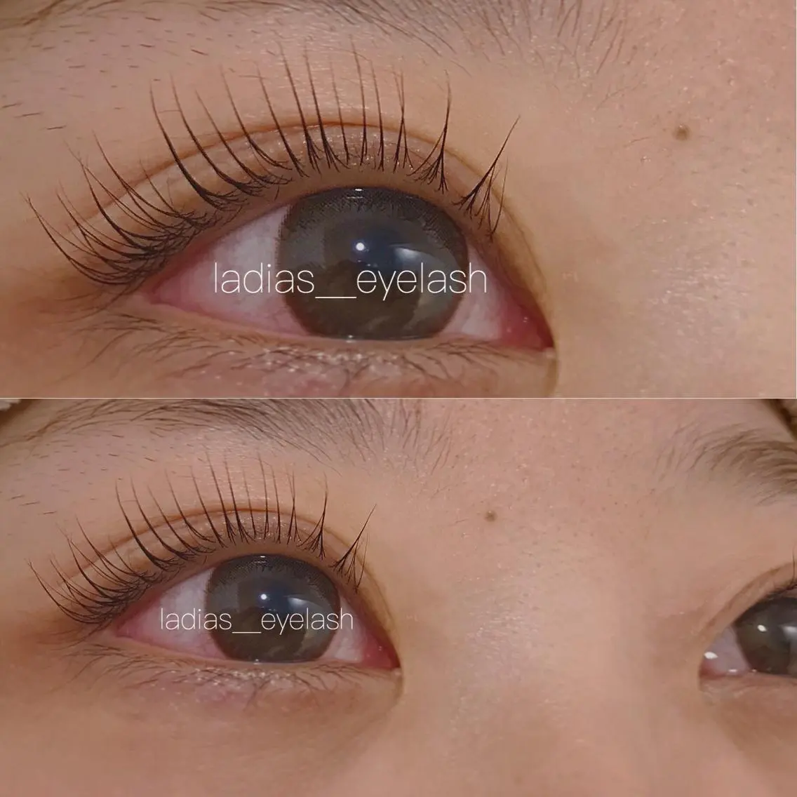 マツエク・マツパ マツパ LADIAS eyelashのマツエク・マツパデザイン