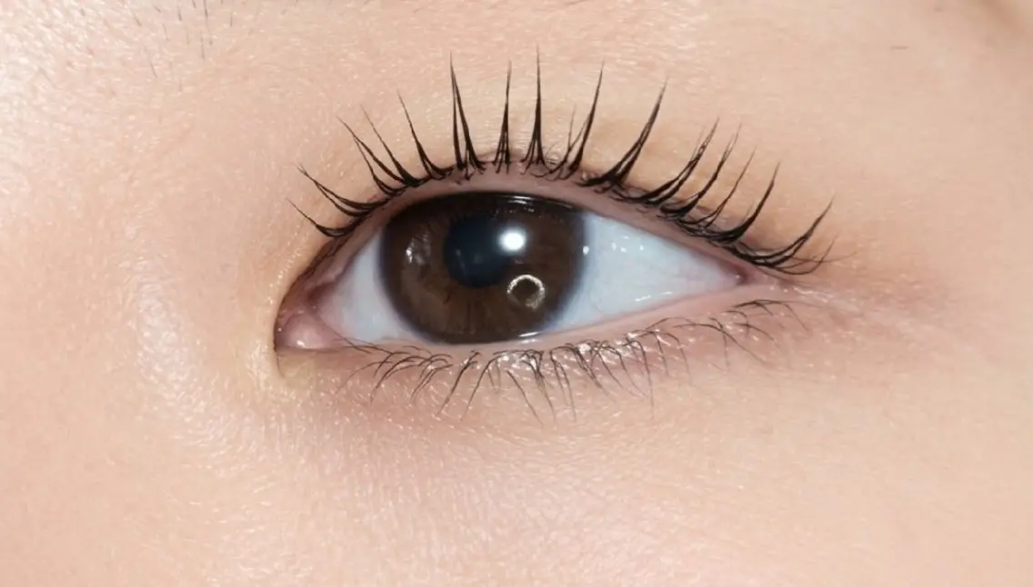 マツエク・マツパ Lカール mylash 緑井店 ⭐やまぐちのマツエク・マツパデザイン