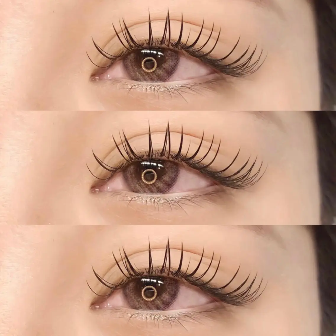 model|flat volume lash 𝟤𝟦𝟢本の写真