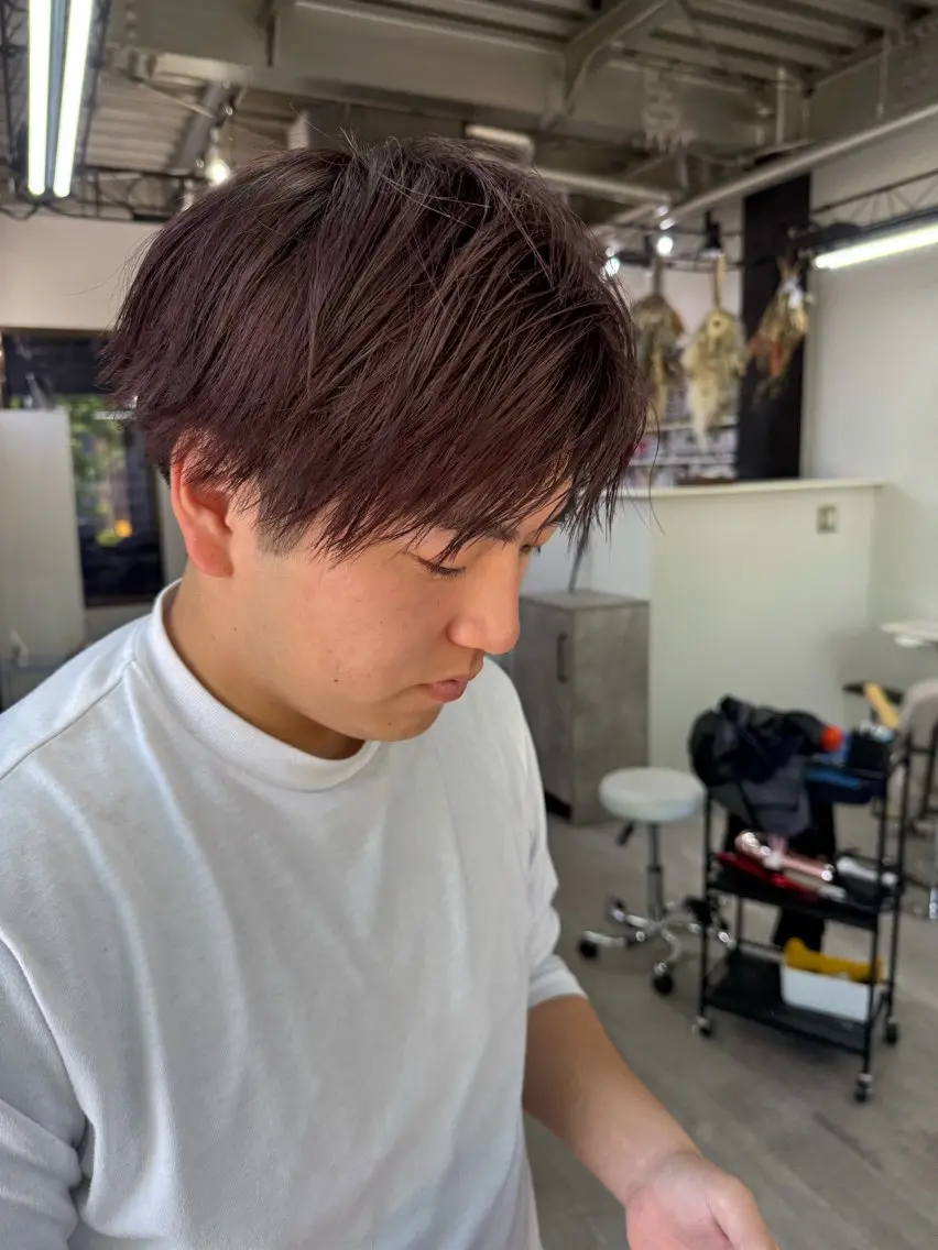 ショート カラー ベージュカラー カシス カシスベージュ カット ヘアカラー トリートメント 坂井 水菜美のヘアスタイル