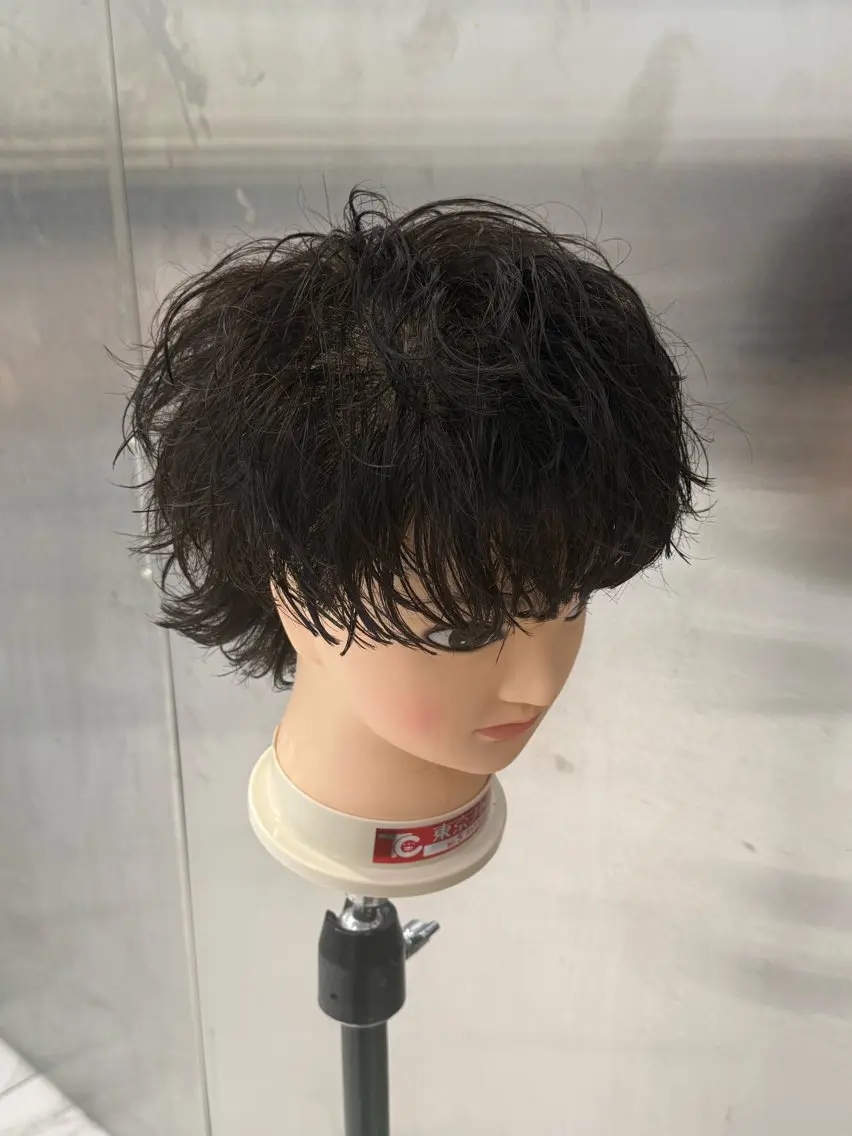 メンズ メンズパーマ マレットヘア 本田 有里のヘアスタイル