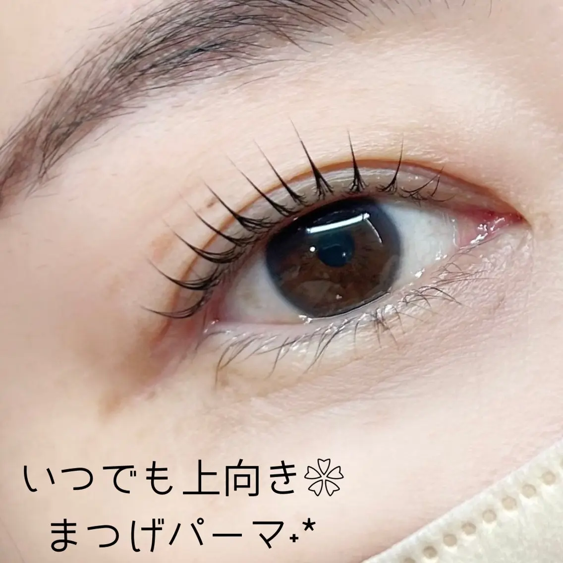 【6月ご予約限定!早割】まつげパーマ/ラッシュリフト/立ち上げ・カール・デザイン自由/コーティング付の写真