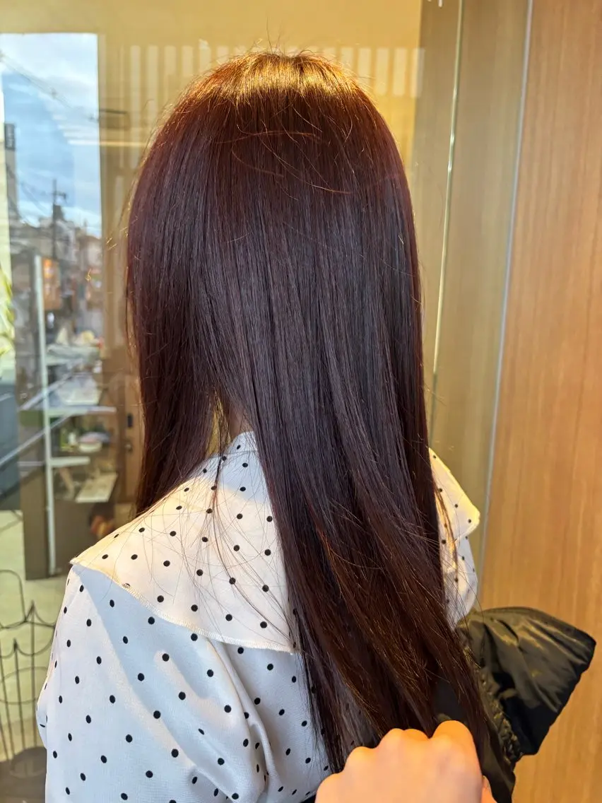 ロング カラー カシス ラベンダーカラー カット ヘアカラー デザインカラー/ オダセイナのヘアスタイル