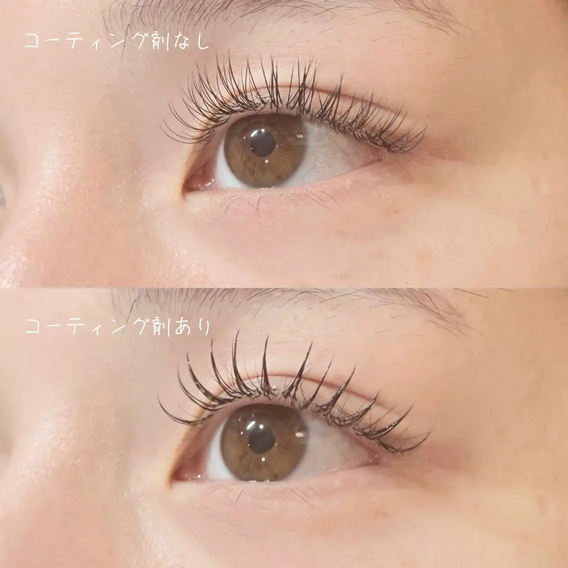 【当日限定】LEDマツエク🌷フラットラッシュ100本(付け足しNG)の写真