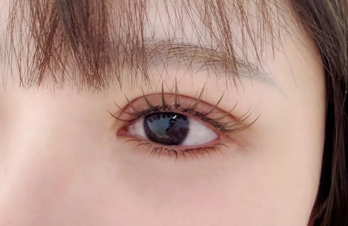 マツエク・マツパ フラットラッシュ 韓国風マツエク パリジェンヌラッシュリフト まつげパーマ 下まつげエクステ Vivi💜マツエク 🐈‍⬛新大久保のマツエク・マツパデザイン