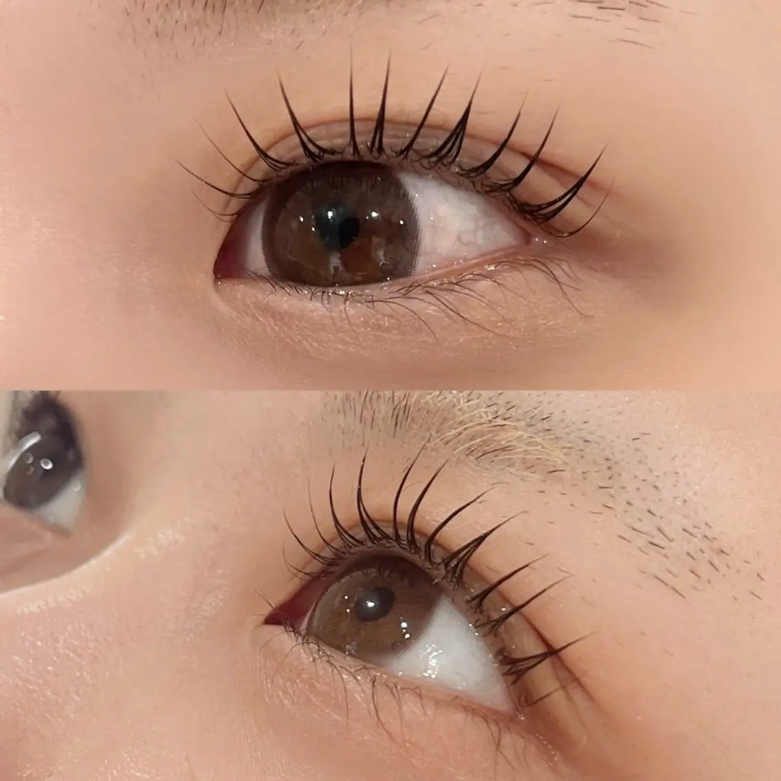マツエク・マツパ マツパ eyelashZen ♥️HIMEのマツエク・マツパデザイン