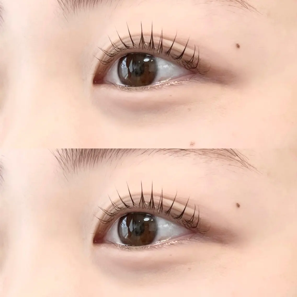 マツエク・マツパ マツパ 🦋平林 未莉🦋✨のマツエク・マツパデザイン