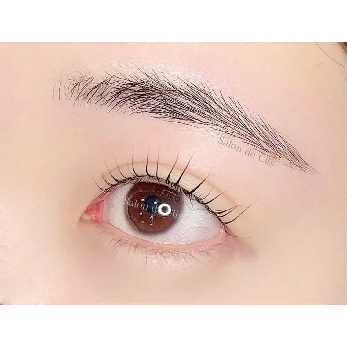 アイブロウ ワックス脱毛 眉カット その他(アイブロウ) Salon de Cilsのマツエク・マツパデザイン